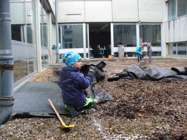 P1030437 Kopie 640x480
