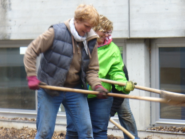 P1030438 Kopie 640x480