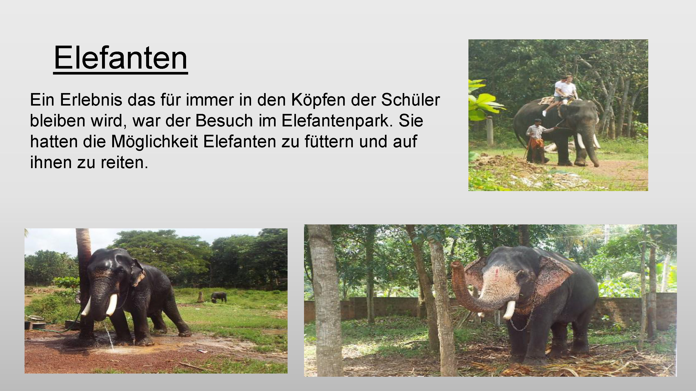 Indien Bericht Page 3