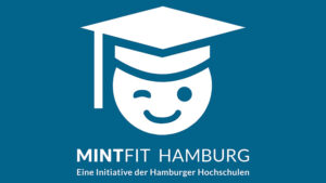 mintfit-733x414.jpg