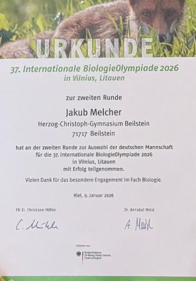 Urkunde